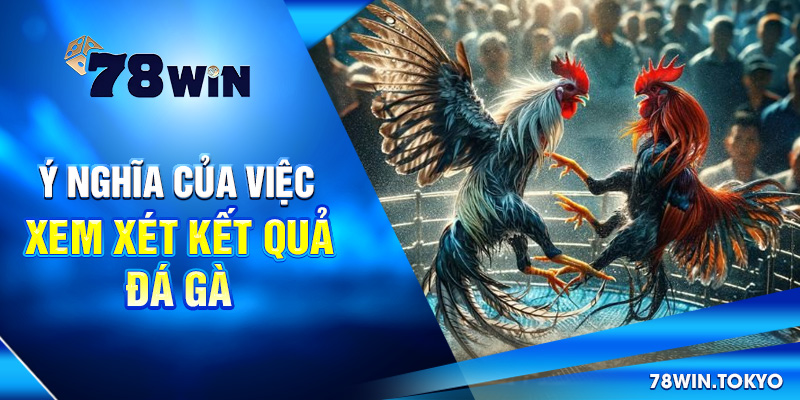 Ý nghĩa của việc xem xét kết quả đá gà