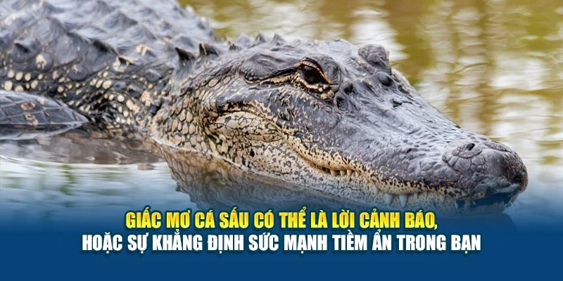 Giấc mơ cá sấu có thể là lời cảnh báo, hoặc sự khẳng định sức mạnh tiềm ẩn trong bạn